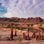 LOTES EN SAMALAYUCA – PROYECTO COYOTE RANCH