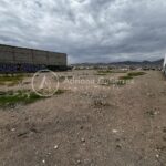 TERRENO SOBRE BLVD. OSCAR FLORES
